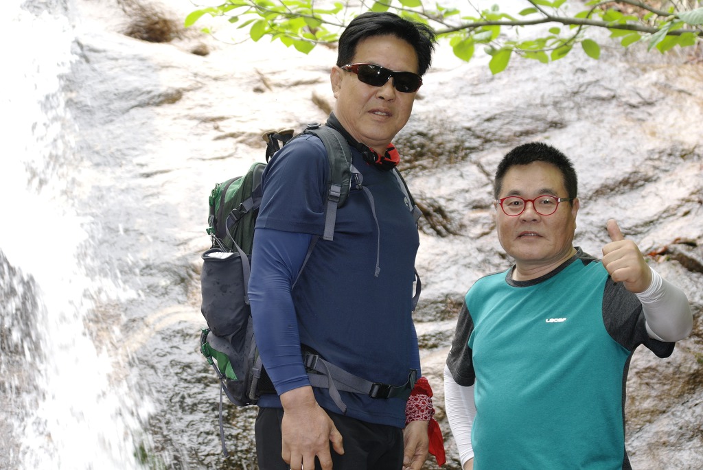 산목 이미지