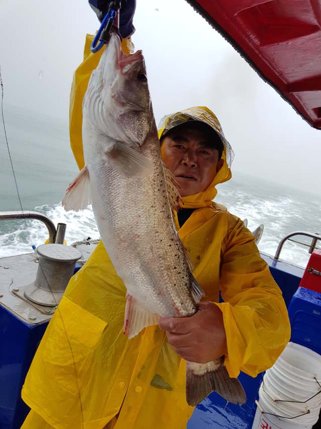 본전낚시 이미지