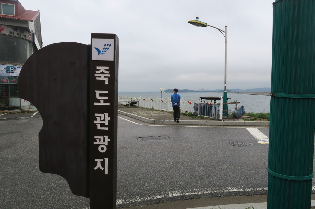 쭈꾸미사랑 이미지