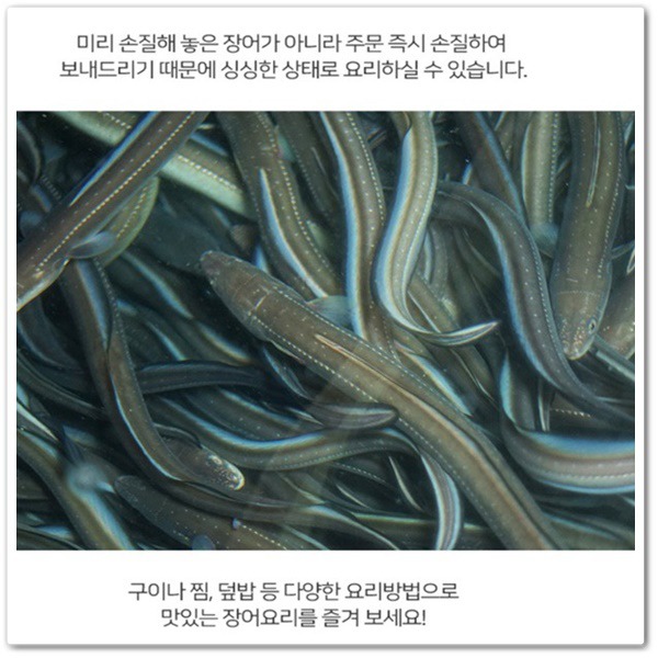 통영바다장어구이 이미지