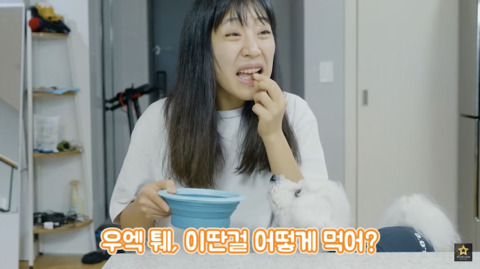 밥먹을때 강아지가 쳐다보는 이유 | 인스티즈