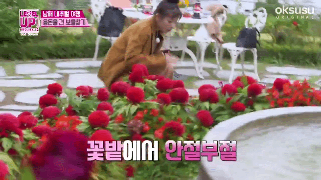 꽃 못 만지는 슬기.gif | 인스티즈