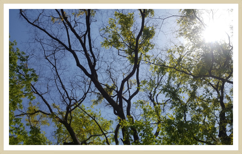 당산 정산 이미지
