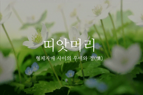 잘 모르는 이쁜 우리말1.gif | 인스티즈