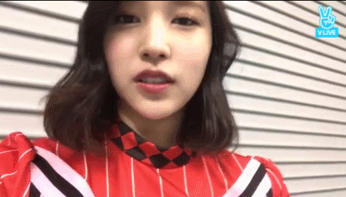 오늘자 근황 전하러 온 묘이 미나 | 인스티즈
