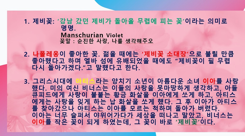 이아 이미지