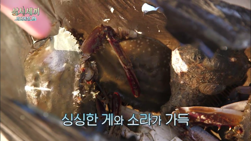 한지민을 물음표살인마로 만든 삼시세끼 역대급 비쥬얼 해신탕 | 인스티즈