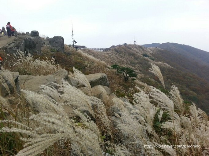 오서산 이미지