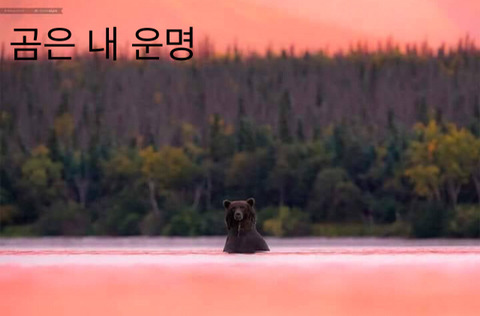 무념무상의 시간 | 인스티즈