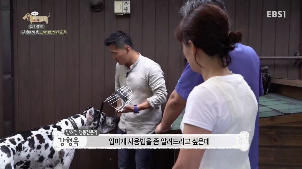 반려견의 입마개 거부감 없애는 팁 .gif | 인스티즈
