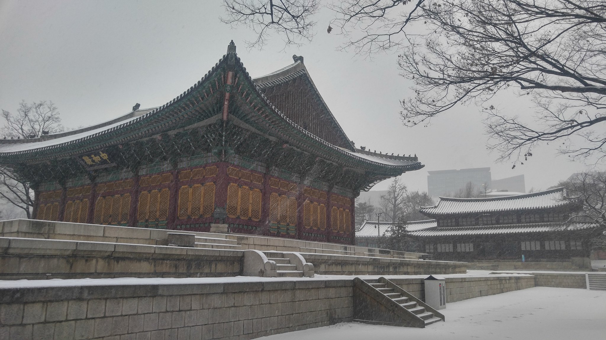 눈 내리는 오늘, 각 문화재청 공식 트위터에 올라온 사진 모음 | 인스티즈