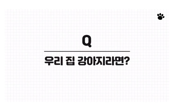 처음 만난 강아지와 인사하는 방법 | 인스티즈