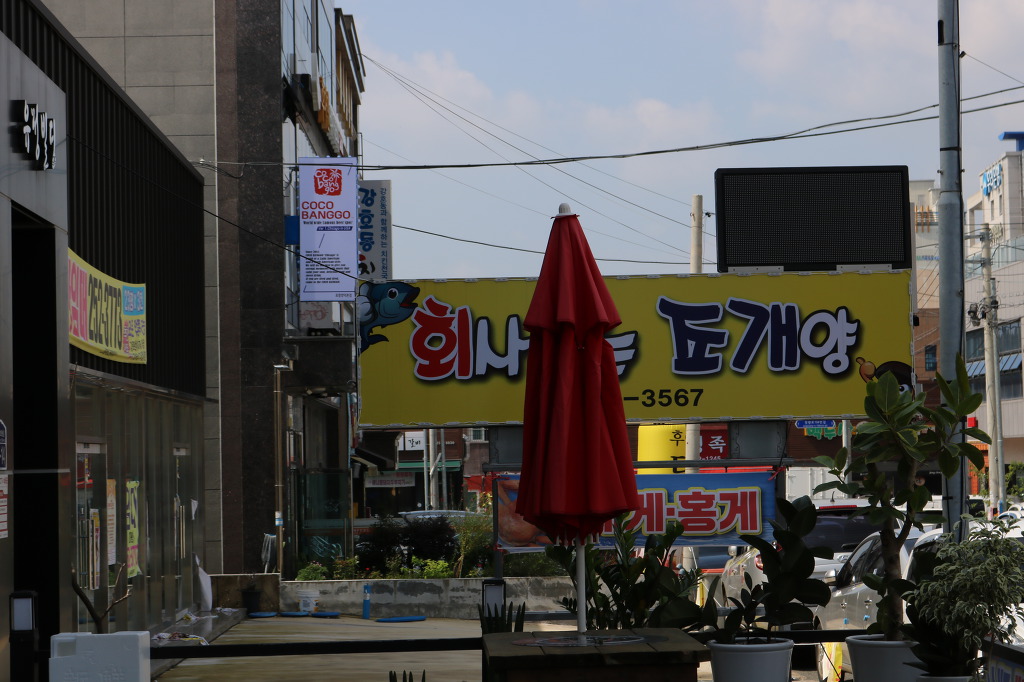 포항황소곱창 이미지