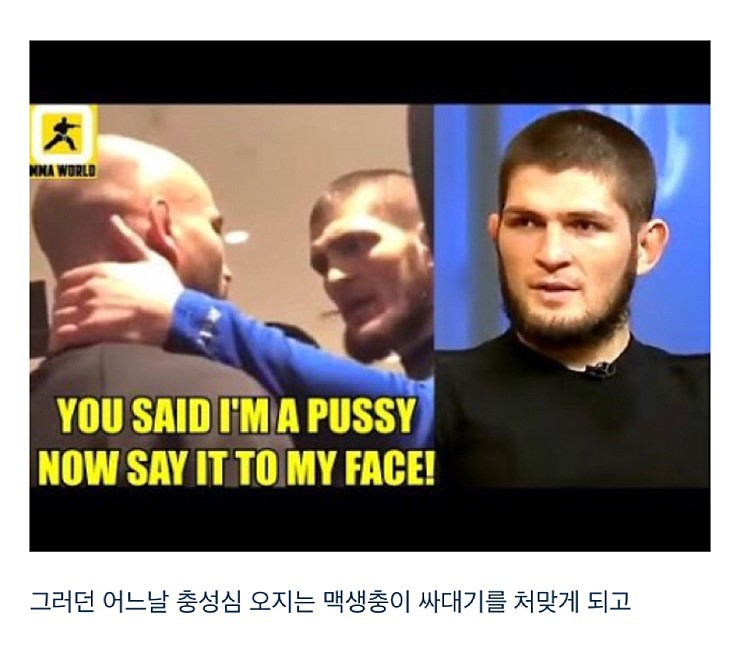 맥그리거는 왜 하빕과의 경기를 수락했을까? 사진 정리 | 인스티즈