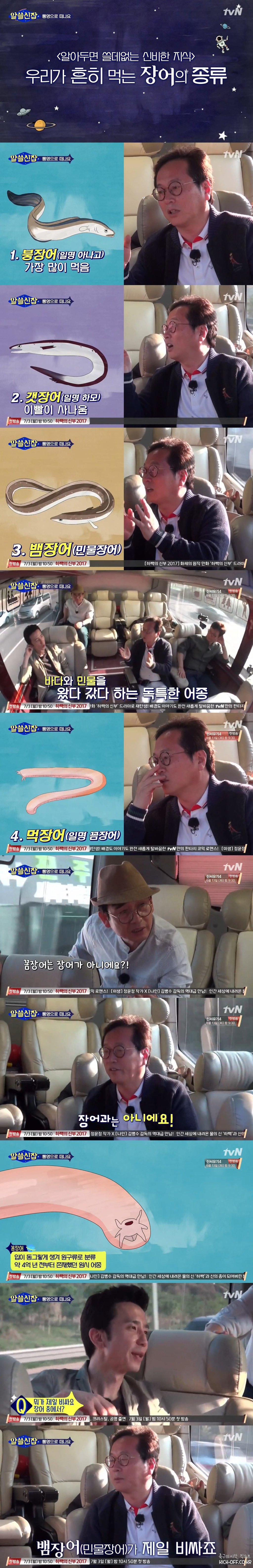 [알쓸신잡] 우리가 흔히 먹는 장어의 종류 | 인스티즈