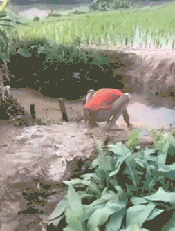 총체적 난국 모음.gif | 인스티즈