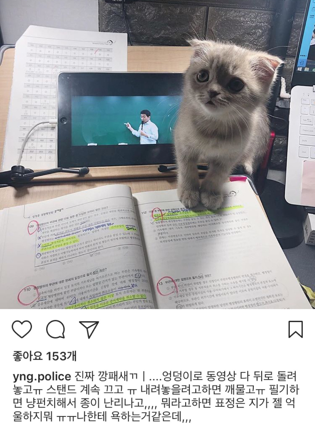 공시생 공부 방해하는 고양이.jpg | 인스티즈