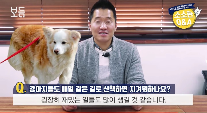 [강형욱의소소한Q&amp;A] 강아지도 매일 같은 길로 산책하면 지겨워 하나요? | 인스티즈