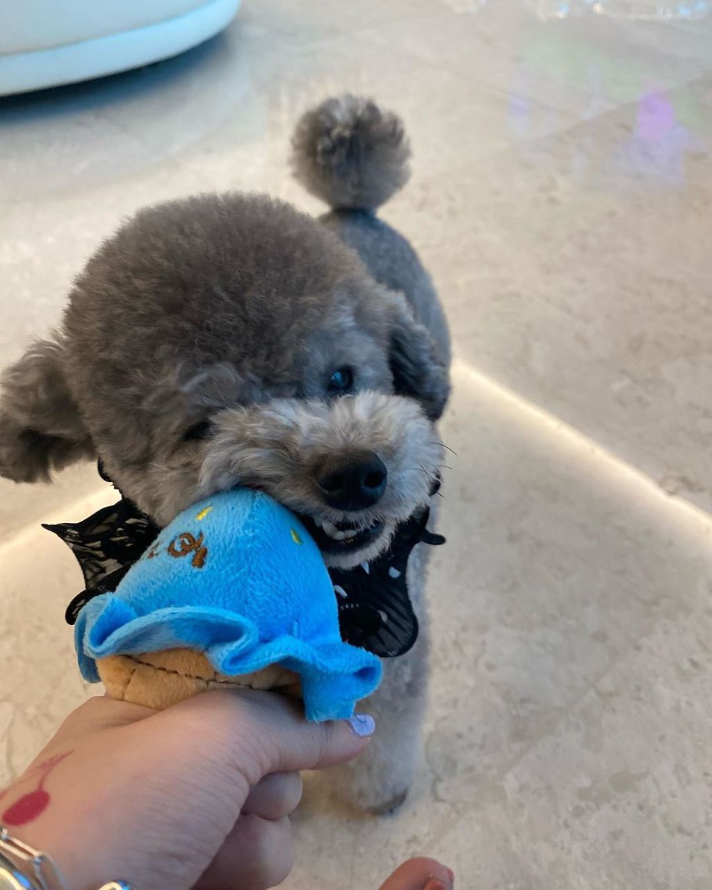 99944E415F3ECFF0084469