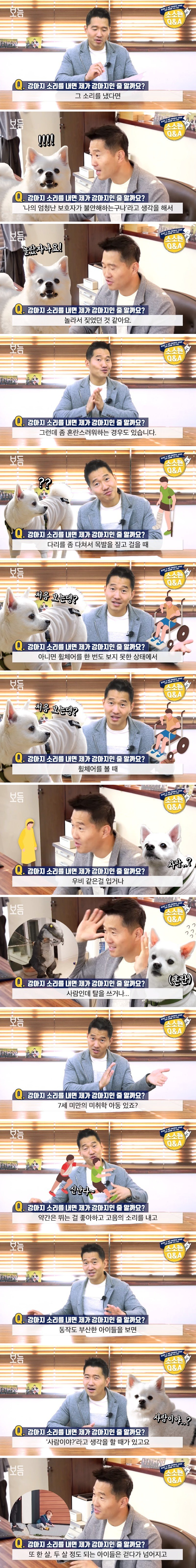  견주가 를 내면 댕댕이는 견주를 개인줄 알까? | 인스티즈