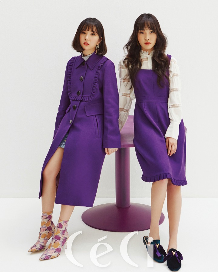 쎄시 이미지