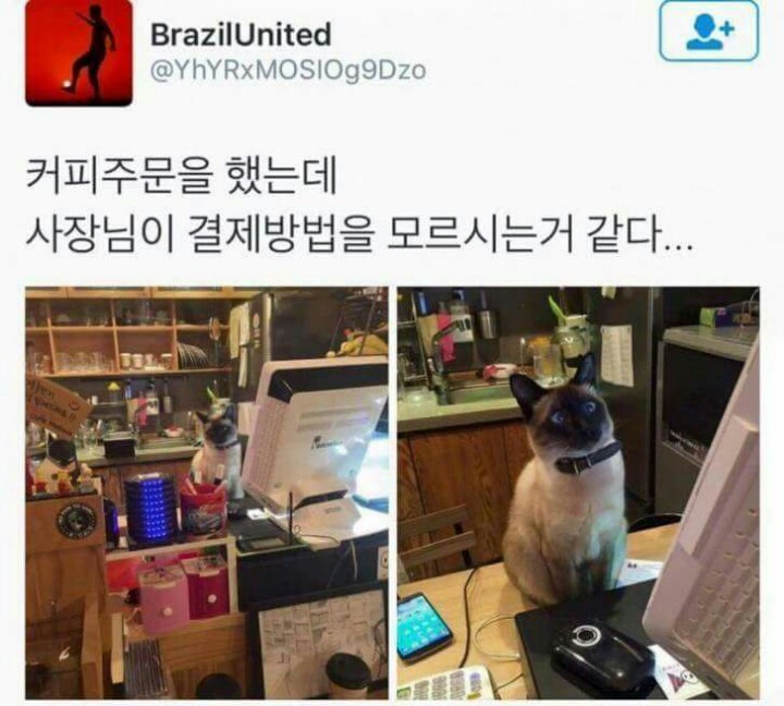 결제방법을 모르시는 카페 사장님.jpg | 인스티즈