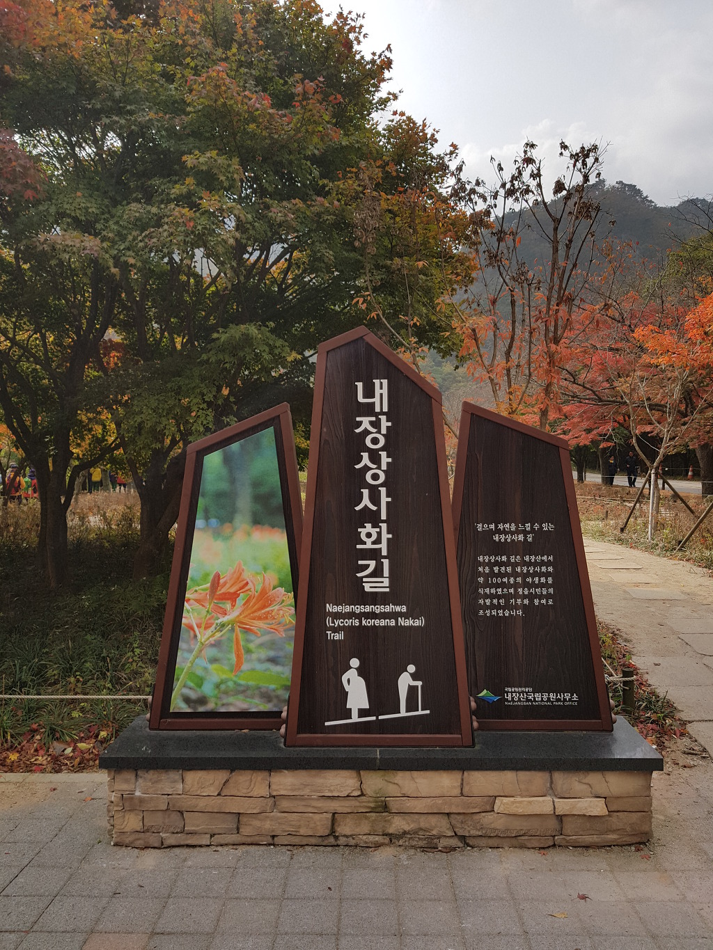 묻지마관광 이미지