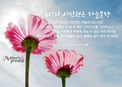 매일직업소개소 이미지