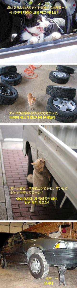 정비소의 그녀석들 | 인스티즈