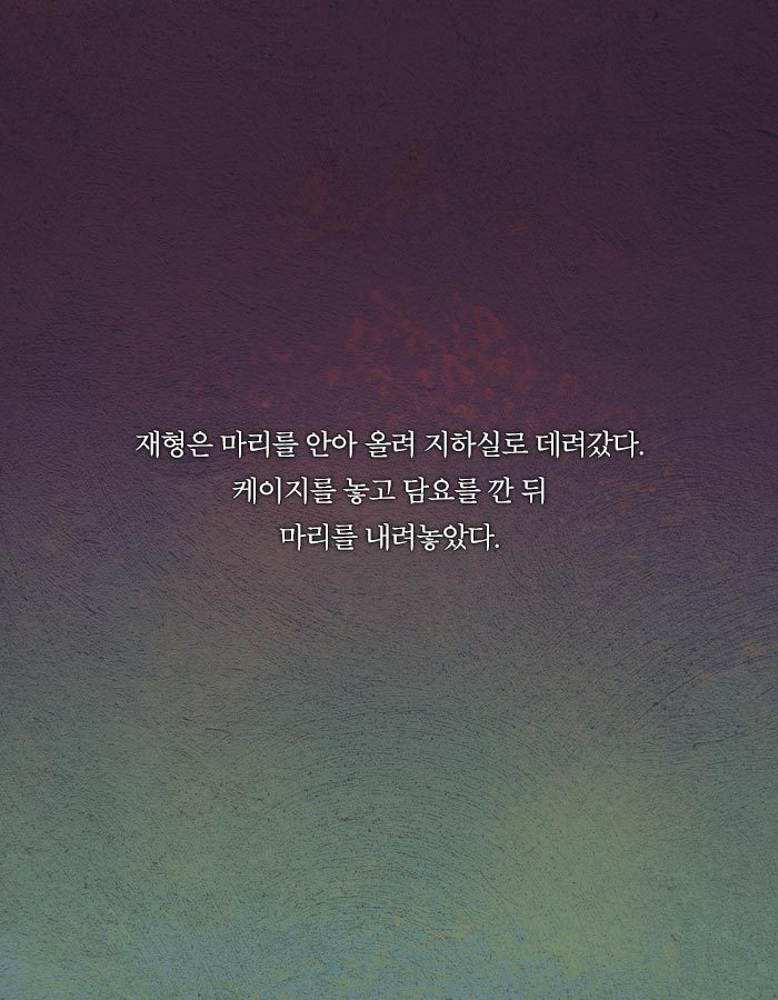 [책소개] 동물병원에 군인들이 닥친 이유 | 인스티즈