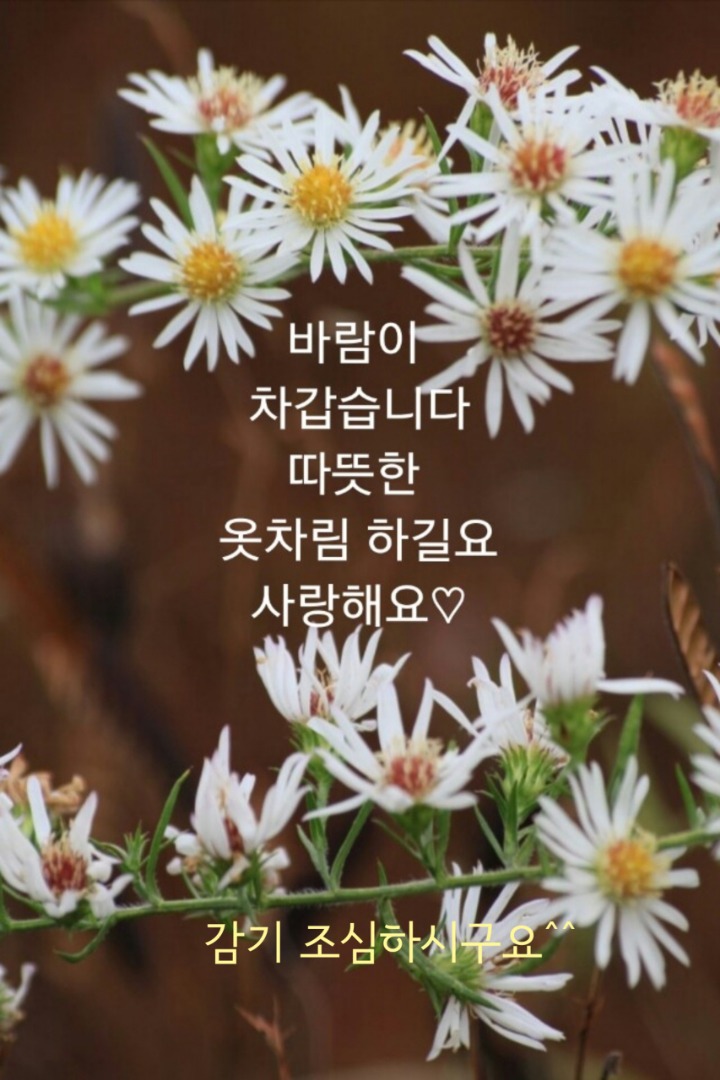 솜씨방 이미지