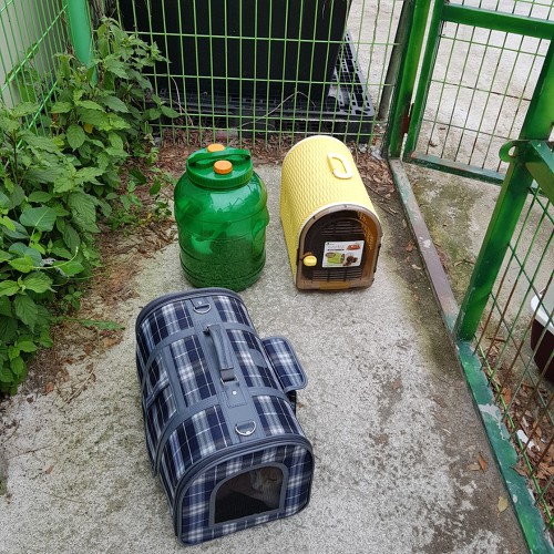 칠이공 이미지