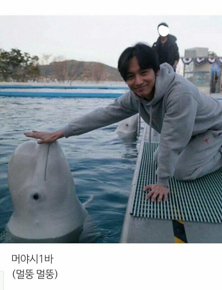 당신의 밤을 책임질 팬아저 모음.gif | 인스티즈