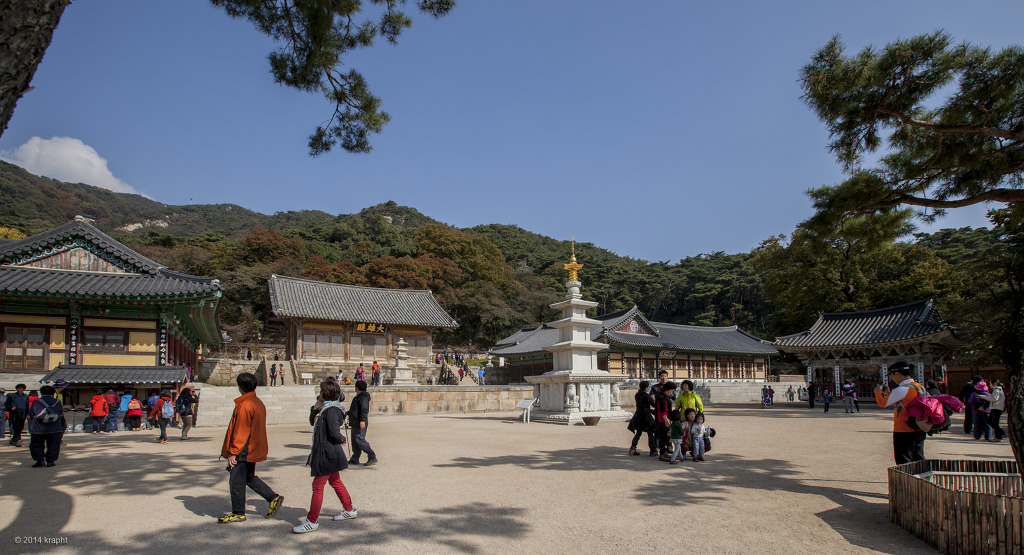 예산꽃 이미지