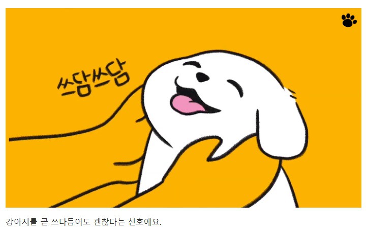 처음 만난 강아지와 인사하는 방법 | 인스티즈