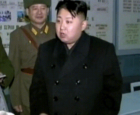 진짜 이만한 돼지가 있었는데 | 인스티즈