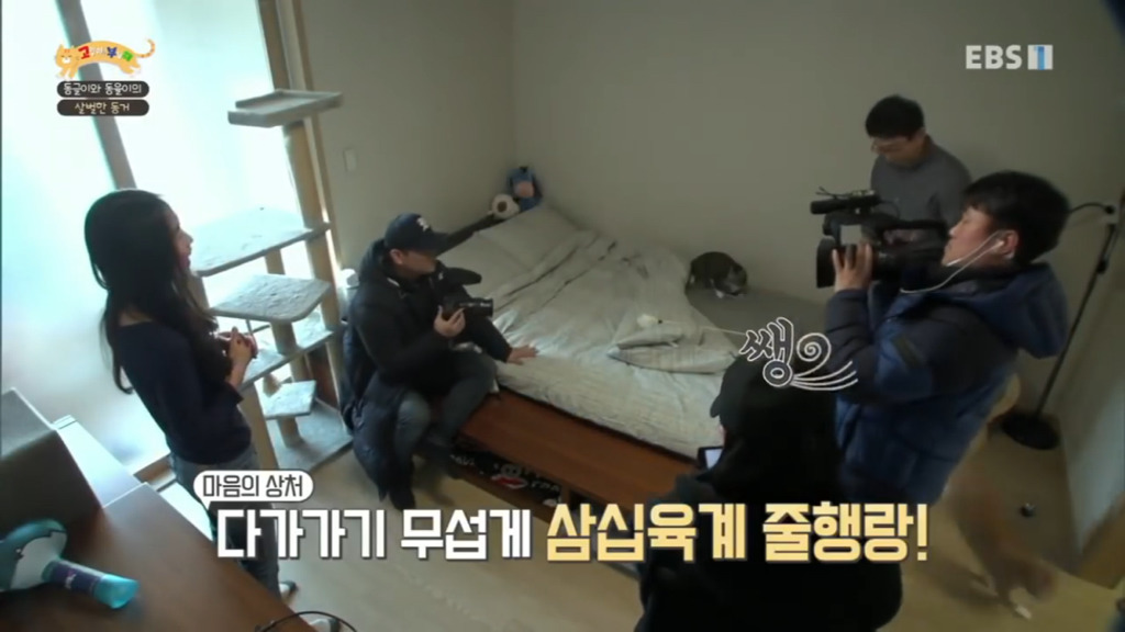 세상에 나쁜 개는 없다 vs 고양이를 부탁해 차이.jpg | 인스티즈