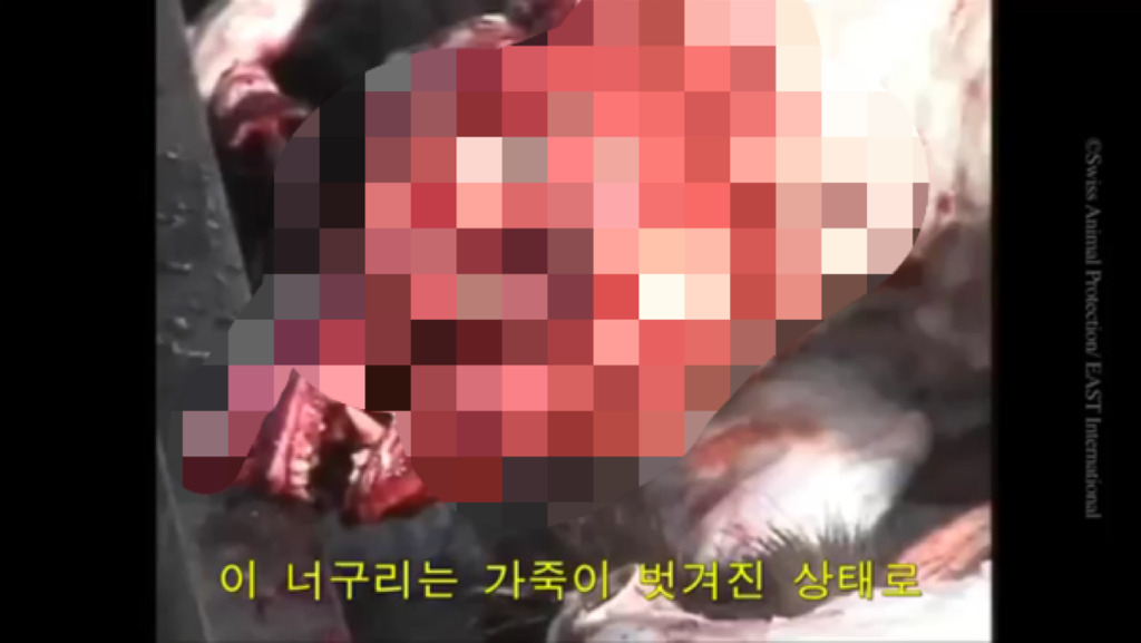 모르고 쓰는거면 몰라도 알면서 쓰는 사람들은 솔직히 인간으로 존중 못하겠는 부분.jpg (혐오주의) | 인스티즈