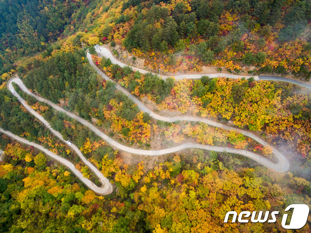 사진기자들이 포착한 2017년 단풍들.jpg | 인스티즈