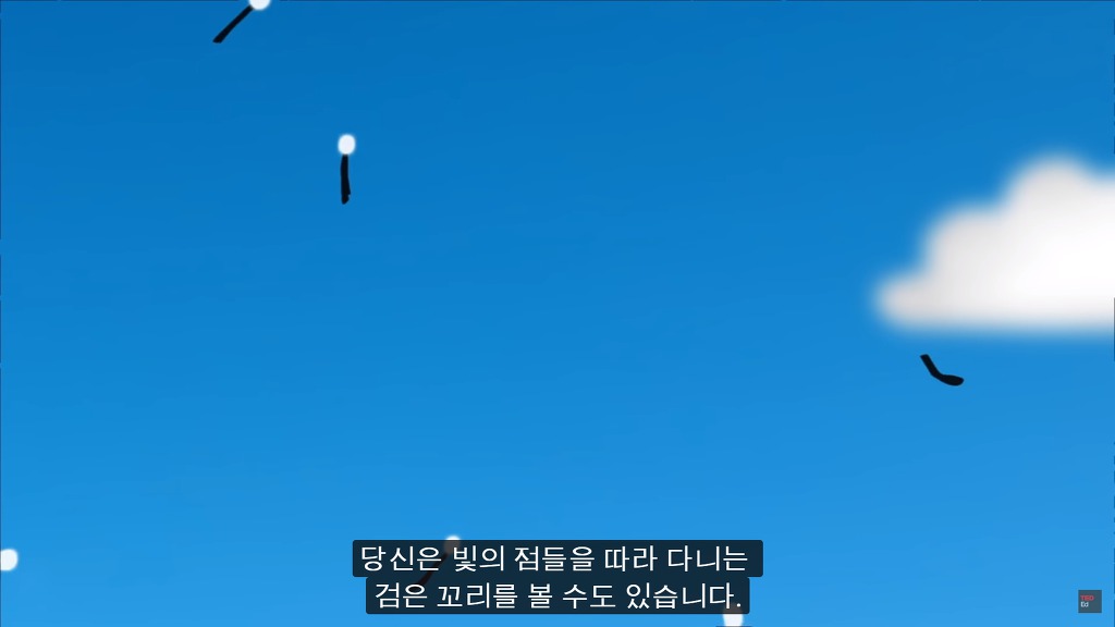 여러분의 눈에 둥둥 떠다니는 그것들은 무엇일까요? | 인스티즈