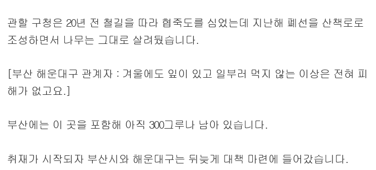 청산가리에 6천배에 달한다는 산책로의 독나무 ㄷㄷ | 인스티즈