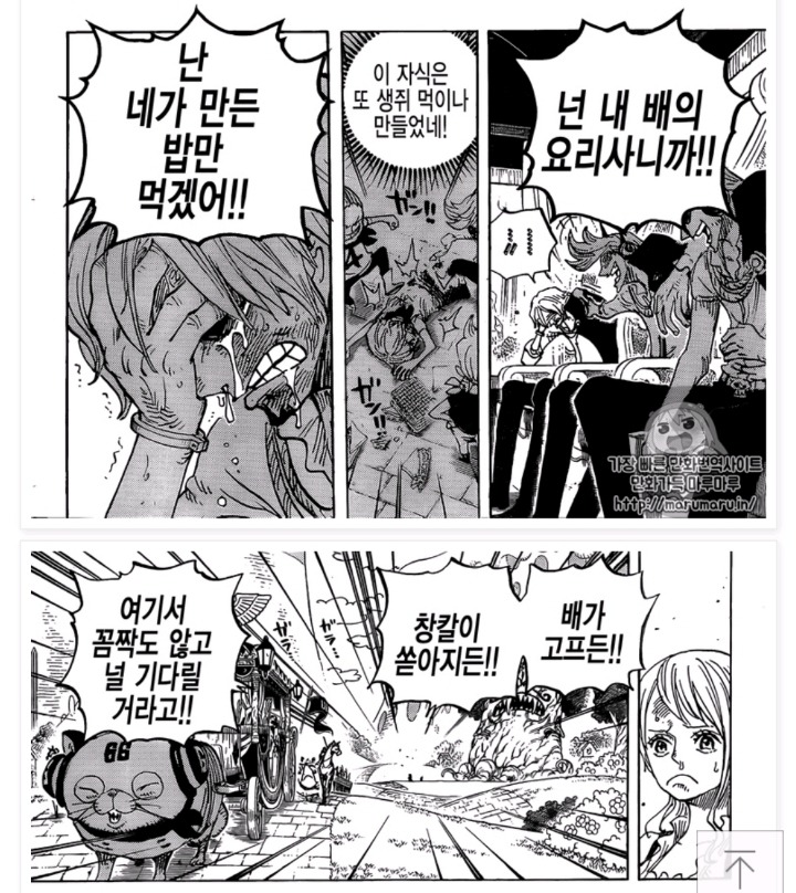 어인동료와 인간동료 대하는 루피의 태도 | 인스티즈
