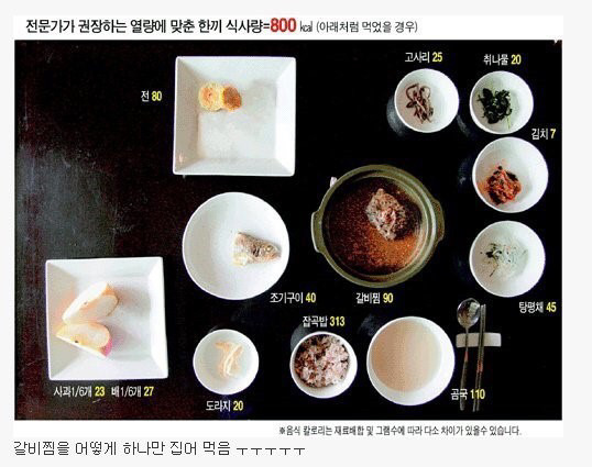 전문가가 권하는 한끼 식사량 | 인스티즈