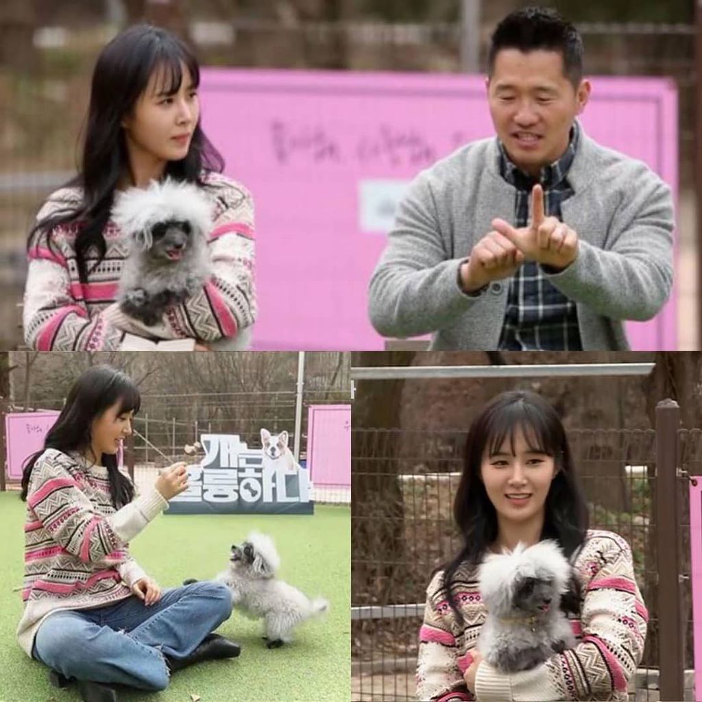 99CB77455E95911F332359