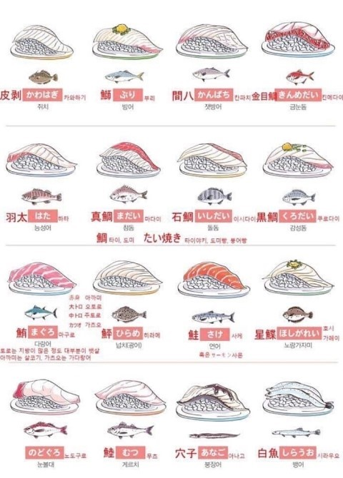스시 종류별 일본어 이름 | 인스티즈