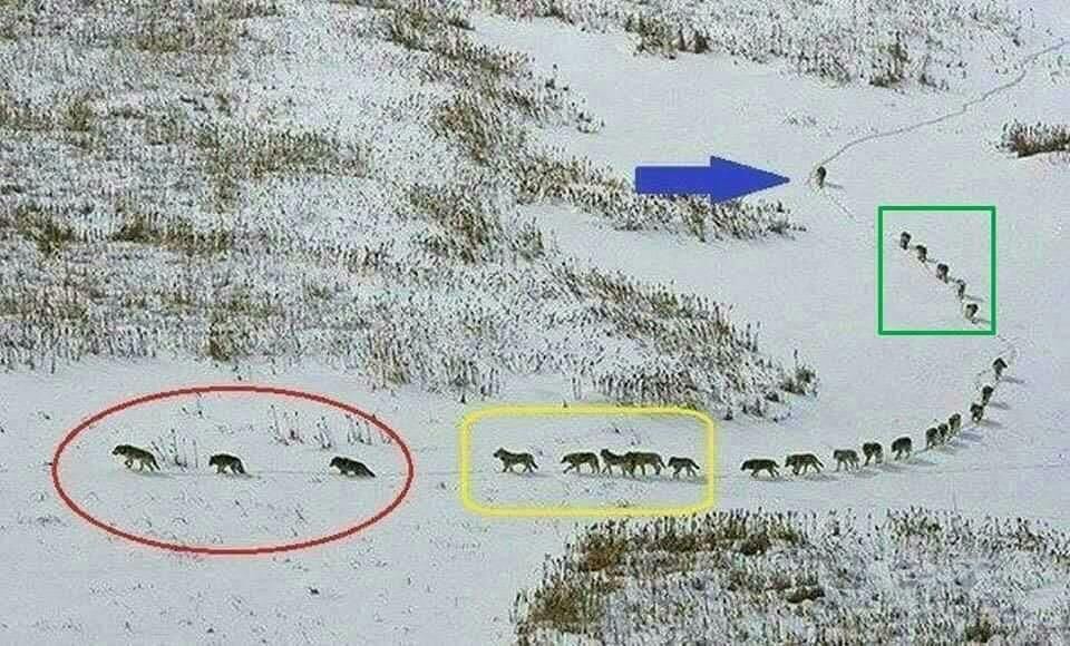 누 이미지