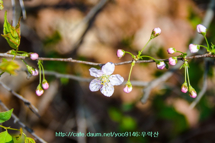 백운통신 이미지