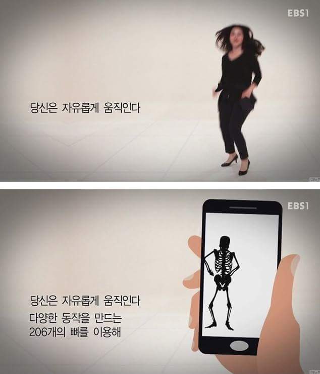 우리의 근육이 바쁜 이유 | 인스티즈