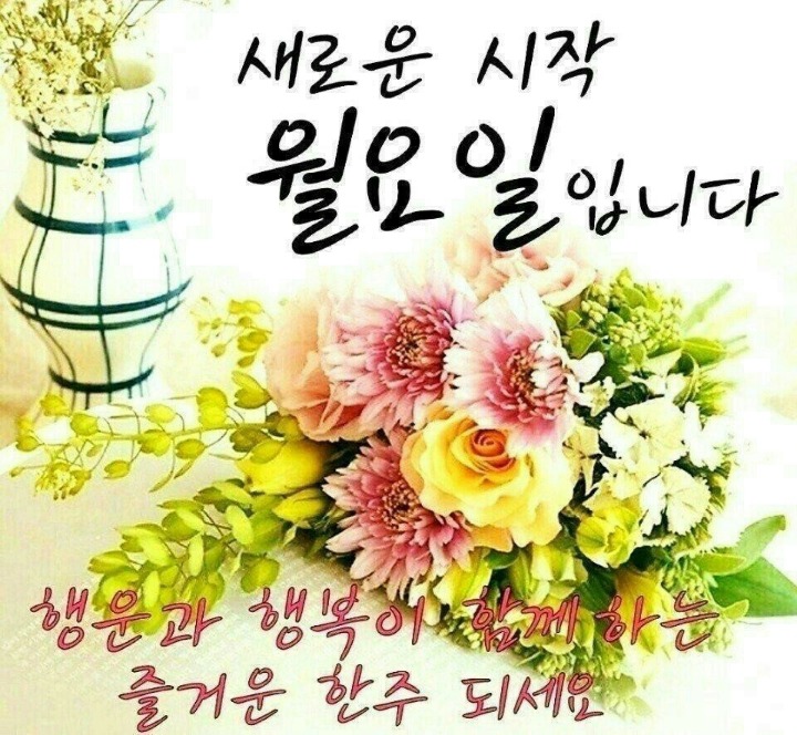 세로운 이미지