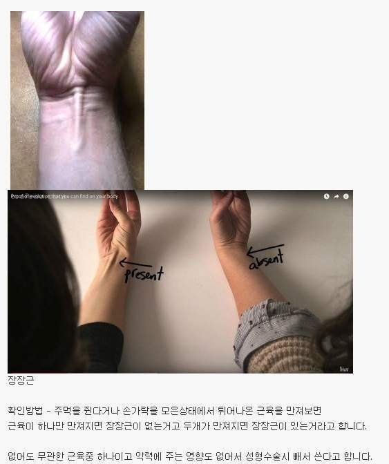 14%에게는 없는 근육 | 인스티즈
